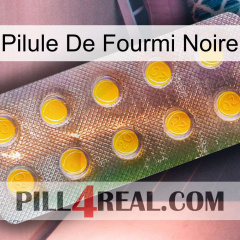 Black Ant Pill new11